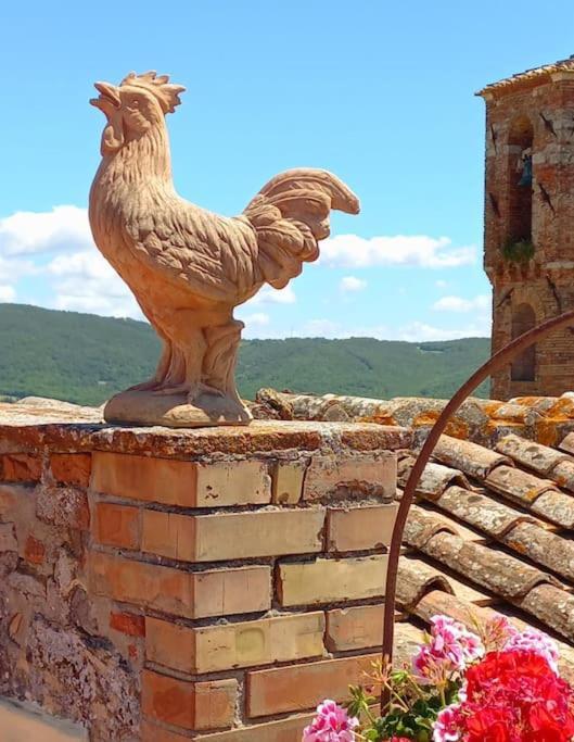 Radicondoli La Casa Del Gallo מראה חיצוני תמונה