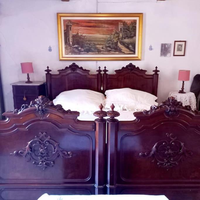 Radicondoli La Casa Del Gallo מראה חיצוני תמונה