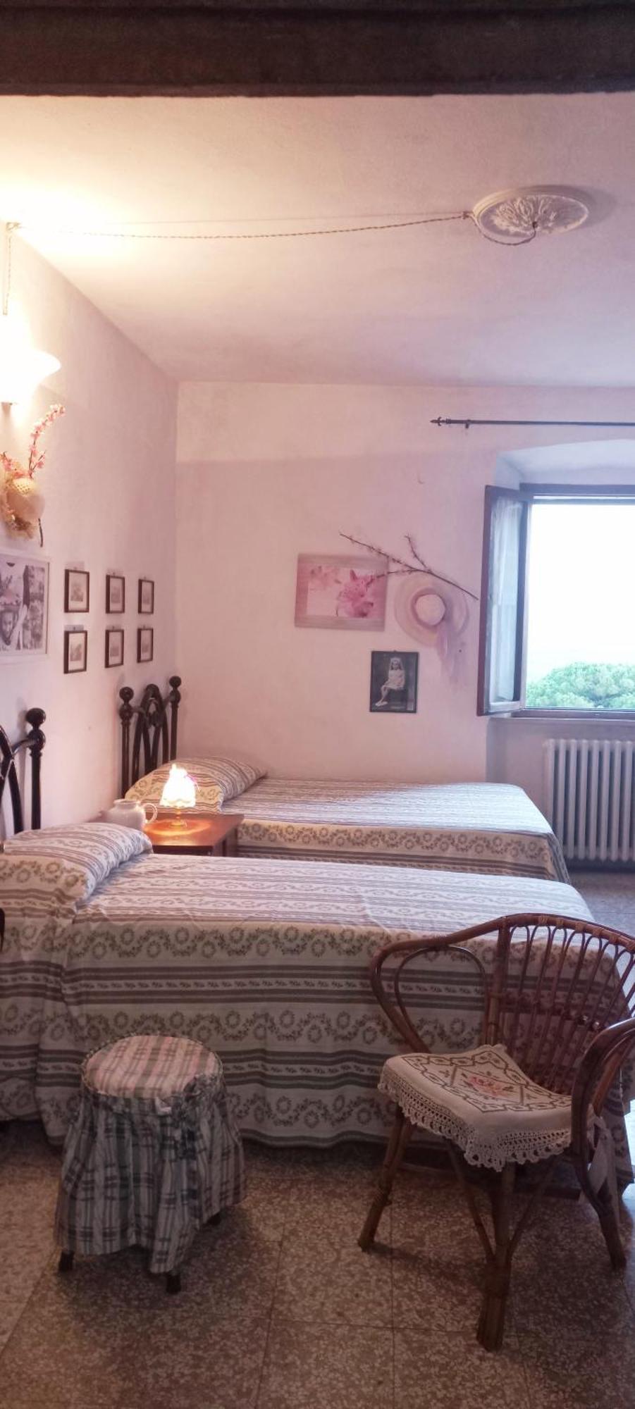 Radicondoli La Casa Del Gallo מראה חיצוני תמונה