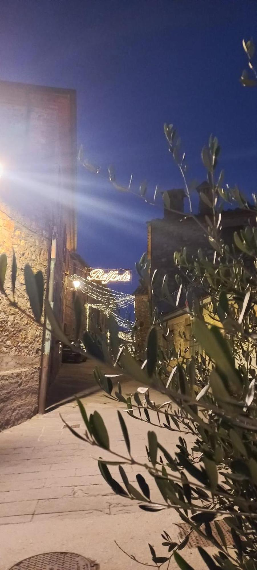 Radicondoli La Casa Del Gallo מראה חיצוני תמונה