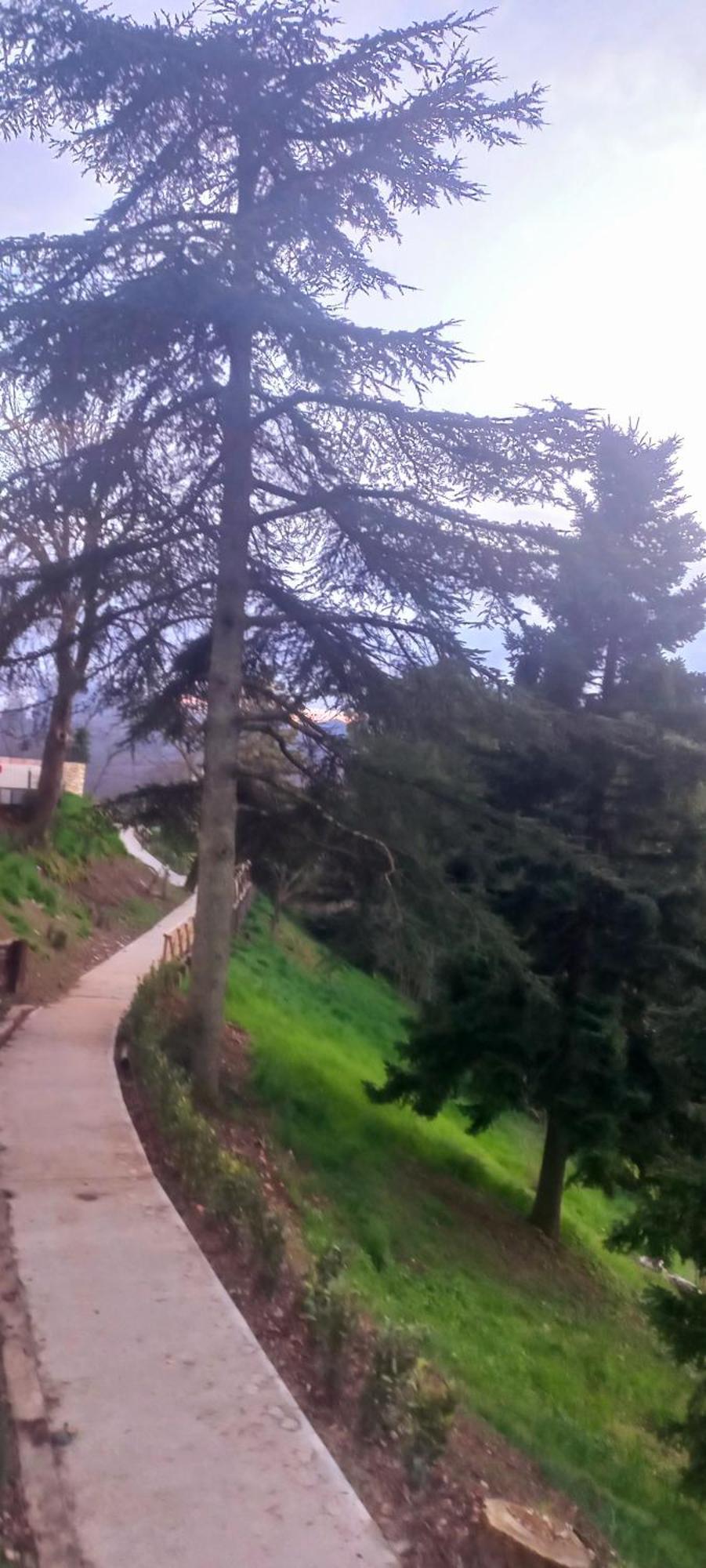 Radicondoli La Casa Del Gallo מראה חיצוני תמונה