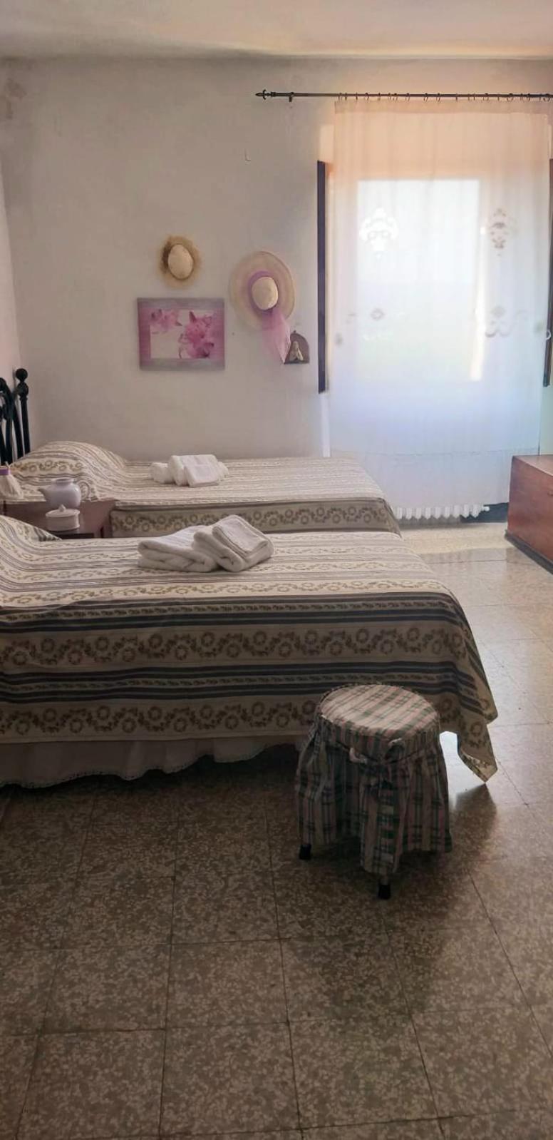 Radicondoli La Casa Del Gallo מראה חיצוני תמונה